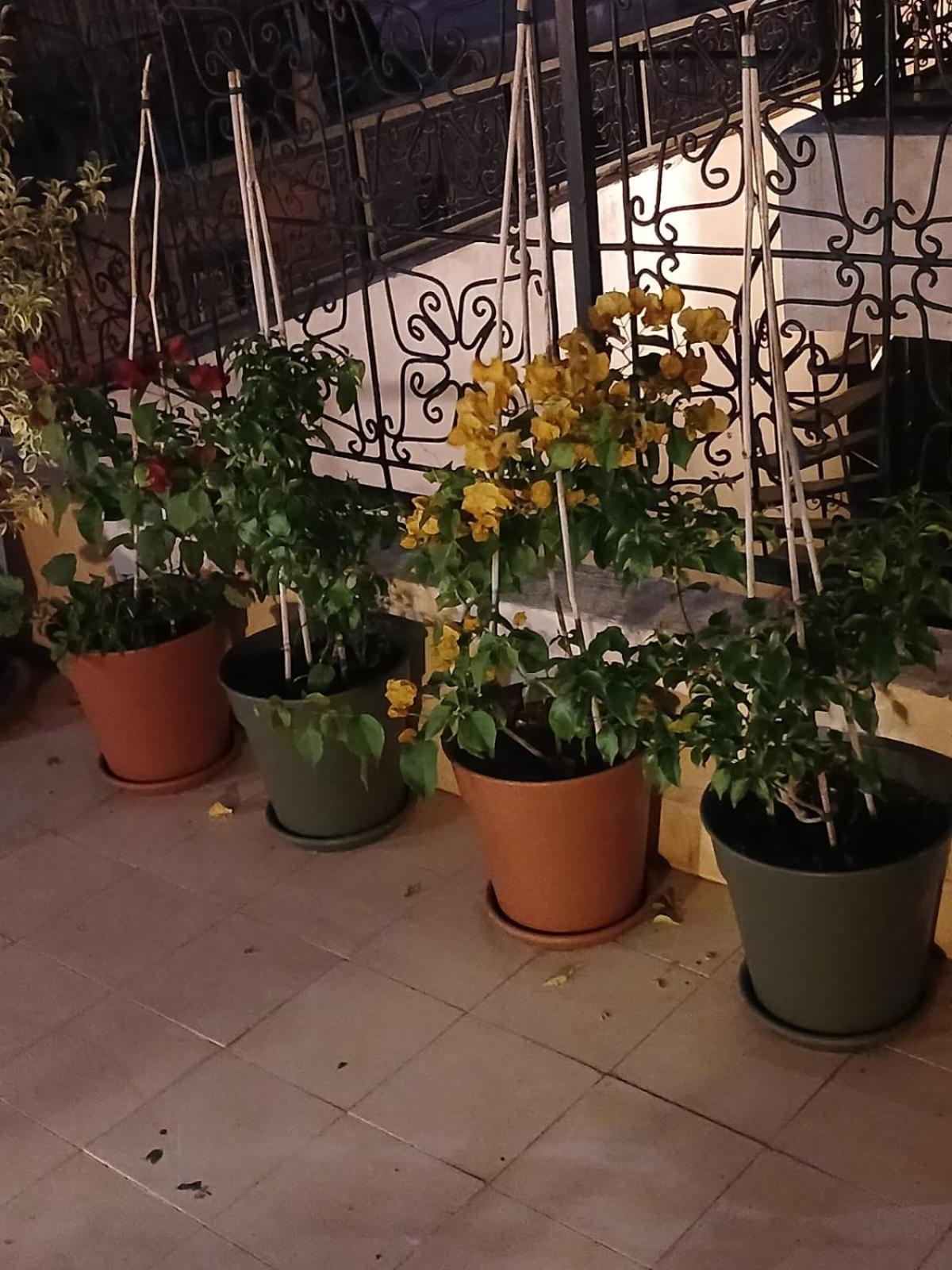 Riad Dantella 마라케시 외부 사진